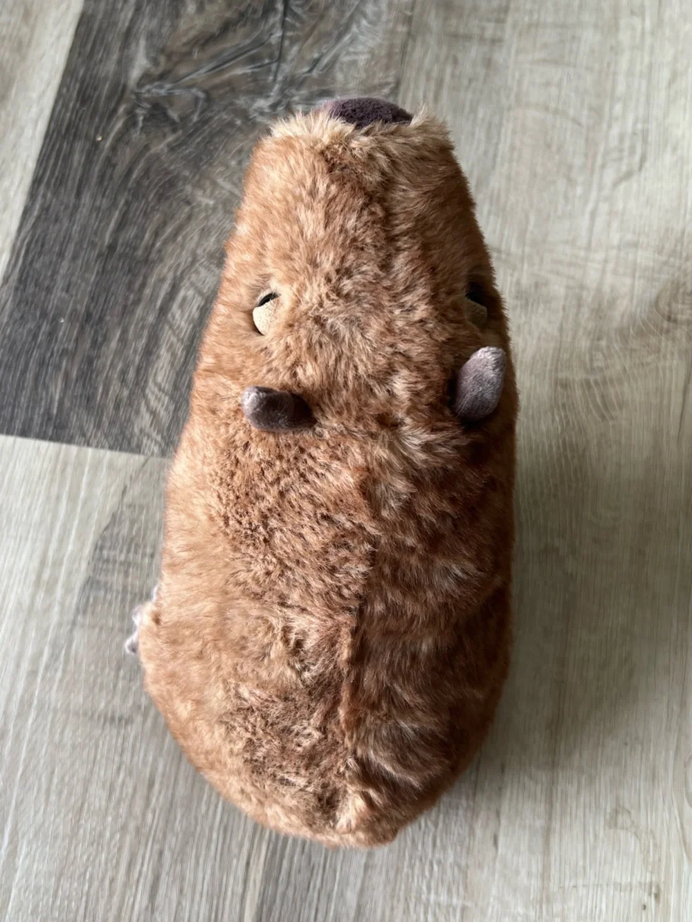 Jellycat Clyde Capybara - Picture 9 of 11